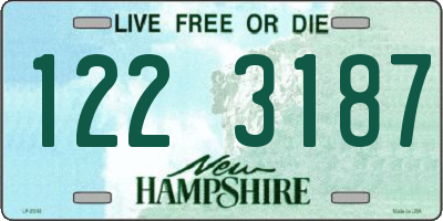 NH license plate 1223187