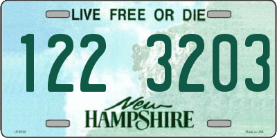 NH license plate 1223203