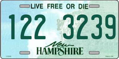 NH license plate 1223239