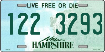 NH license plate 1223293