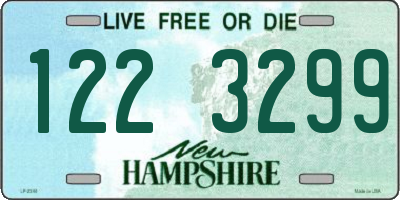NH license plate 1223299