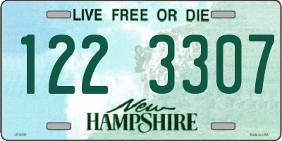 NH license plate 1223307