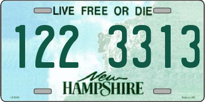NH license plate 1223313