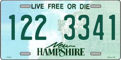 NH license plate 1223341