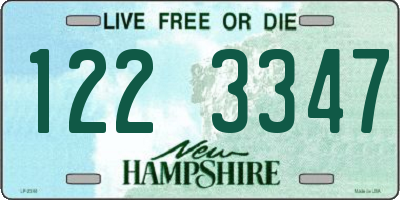 NH license plate 1223347