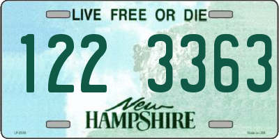 NH license plate 1223363