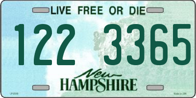 NH license plate 1223365