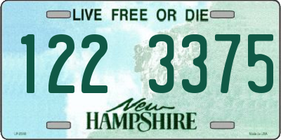 NH license plate 1223375