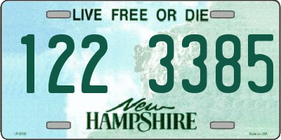 NH license plate 1223385