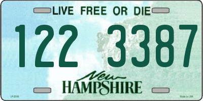 NH license plate 1223387
