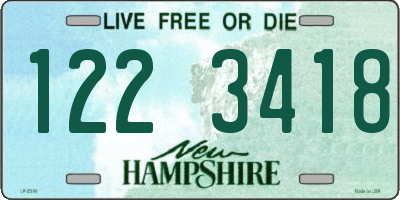 NH license plate 1223418