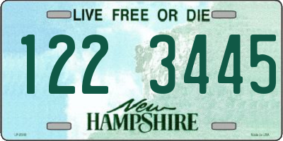 NH license plate 1223445