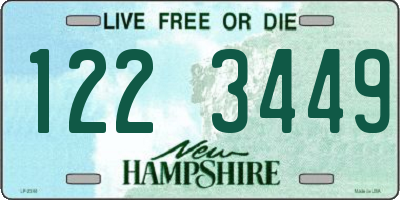 NH license plate 1223449