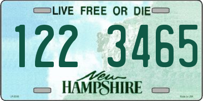 NH license plate 1223465