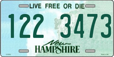 NH license plate 1223473