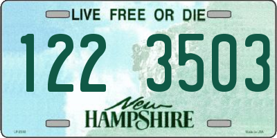 NH license plate 1223503