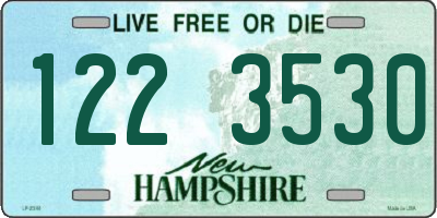 NH license plate 1223530