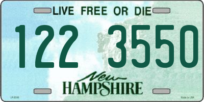 NH license plate 1223550