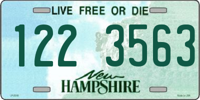 NH license plate 1223563