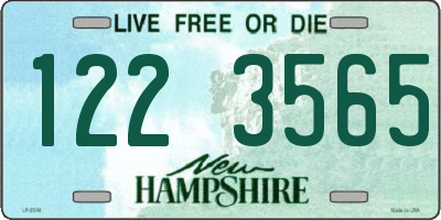 NH license plate 1223565