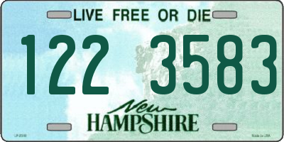 NH license plate 1223583