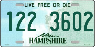 NH license plate 1223602