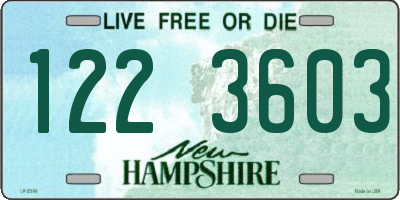 NH license plate 1223603