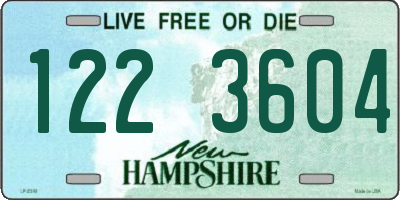 NH license plate 1223604
