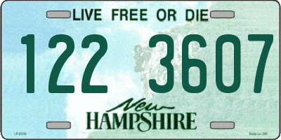 NH license plate 1223607