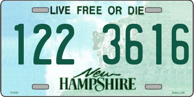 NH license plate 1223616