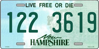 NH license plate 1223619