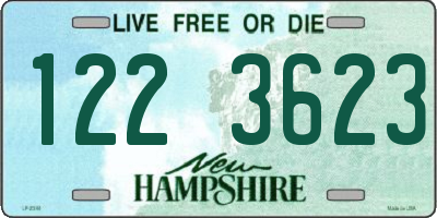 NH license plate 1223623