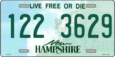 NH license plate 1223629