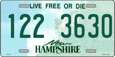 NH license plate 1223630
