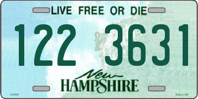 NH license plate 1223631