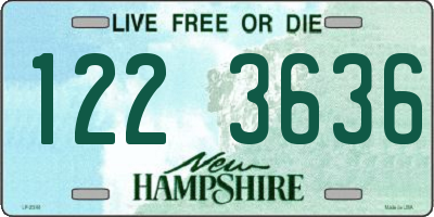 NH license plate 1223636