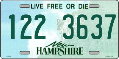 NH license plate 1223637