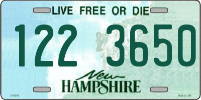 NH license plate 1223650