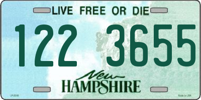 NH license plate 1223655