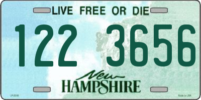 NH license plate 1223656