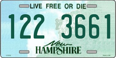 NH license plate 1223661