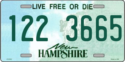 NH license plate 1223665