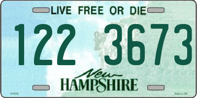 NH license plate 1223673
