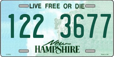 NH license plate 1223677