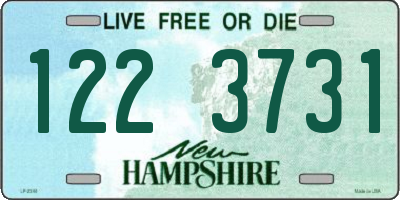 NH license plate 1223731