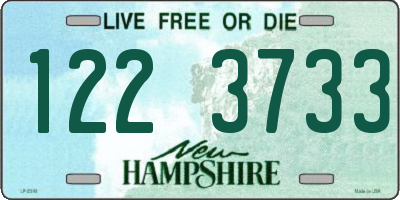 NH license plate 1223733