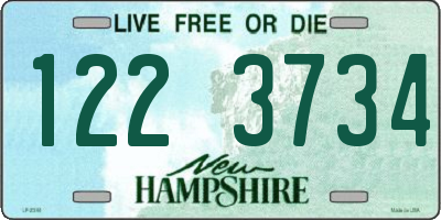 NH license plate 1223734