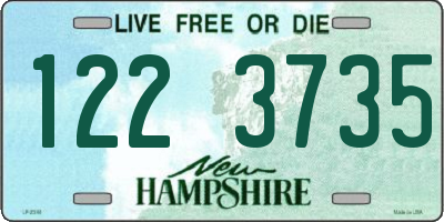 NH license plate 1223735