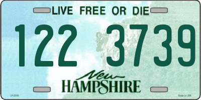 NH license plate 1223739