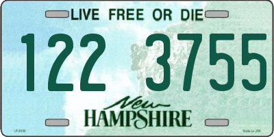 NH license plate 1223755